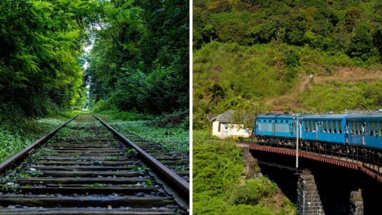 Go Beyond Swiss Rail - 8 Most Scenic Train Journeys In The World 1 Most Scenic Train Journeys in the World - RVCJ