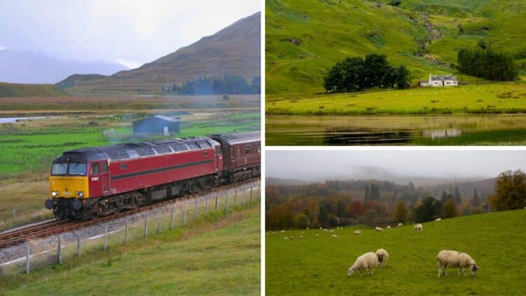 Go Beyond Swiss Rail - 8 Most Scenic Train Journeys in the World - RVCJ ...