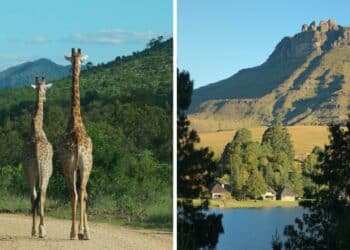 6 Best Places To Visit in South Africa