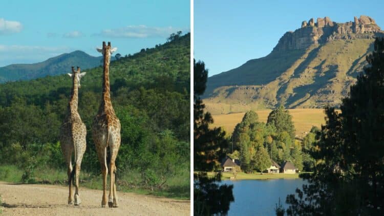 Cape Town Or Johannesburg? 6 Best Places To Visit In South Africa 1 6 Best Places To Visit in South Africa