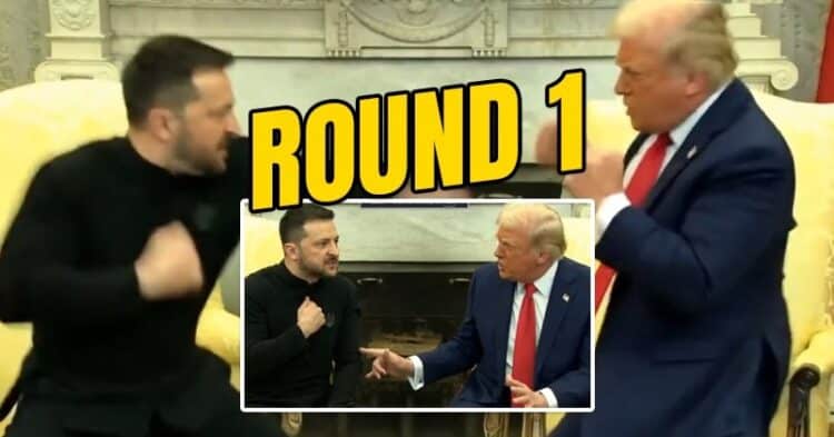 Internet Goes Berserk After The Showdown Between Donald Trump & Zelenskyy At The White House