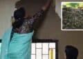 Here Is Why Delhi University College Principal Is Coating Cow Dung On Class Room Walls 3 Indore To New Delhi, Top 10 Cleanest Cities Of India As Per Swachh Survekshan 2024-25 Report