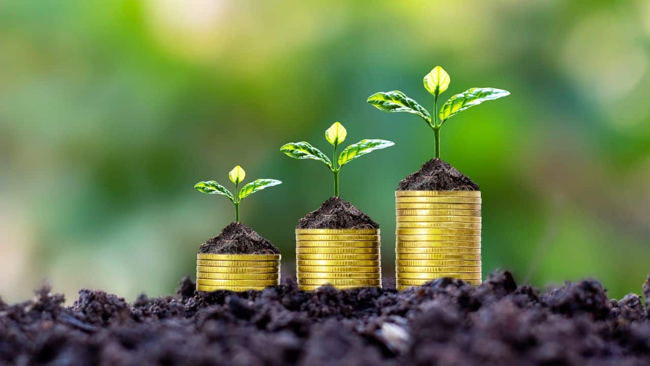 Step-up SIP calculator: Increase your contributions for faster growth