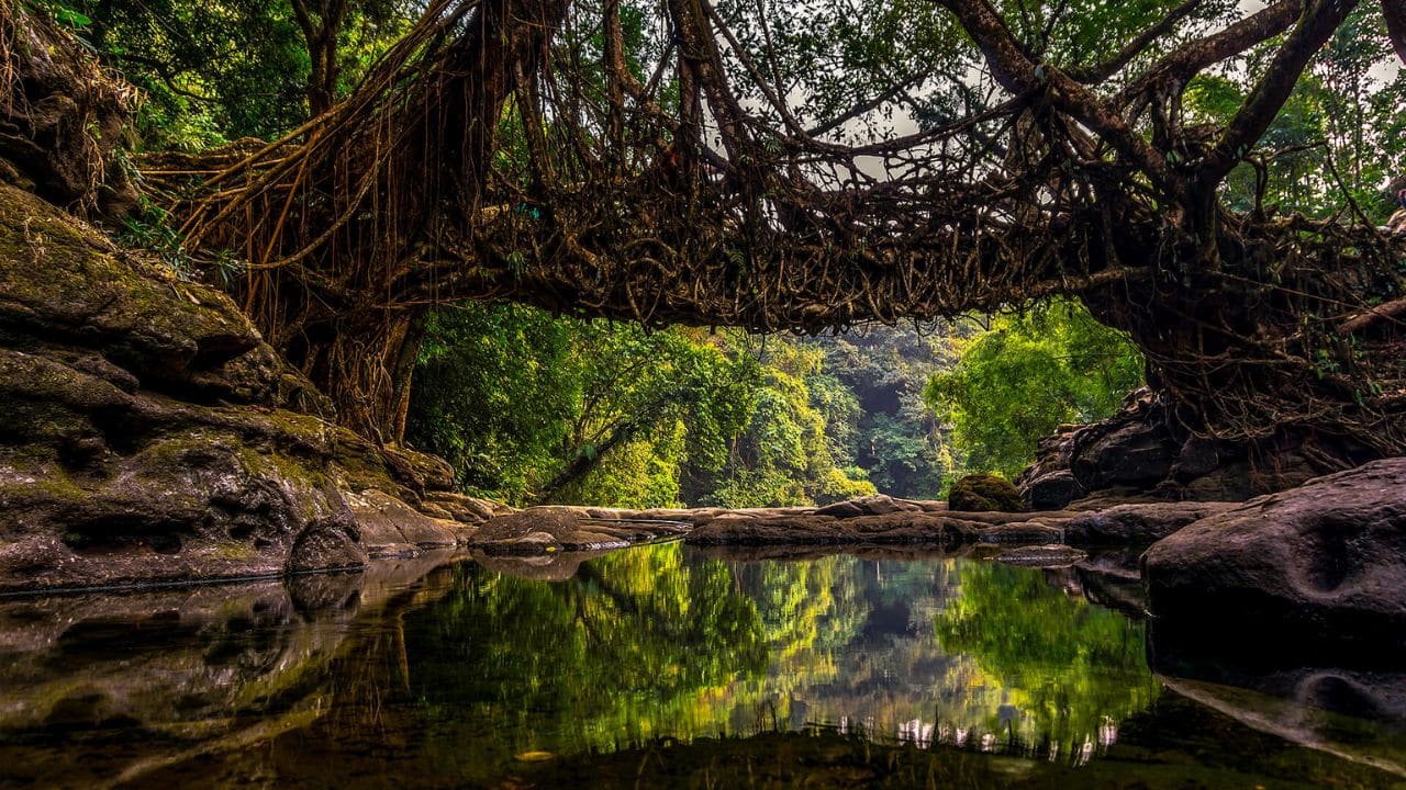 Mawlynnong, Meghalaya