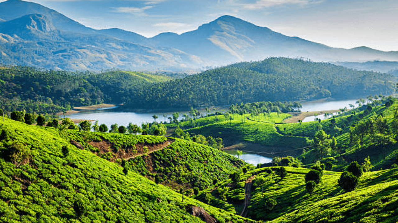 Munnar, Kerala
