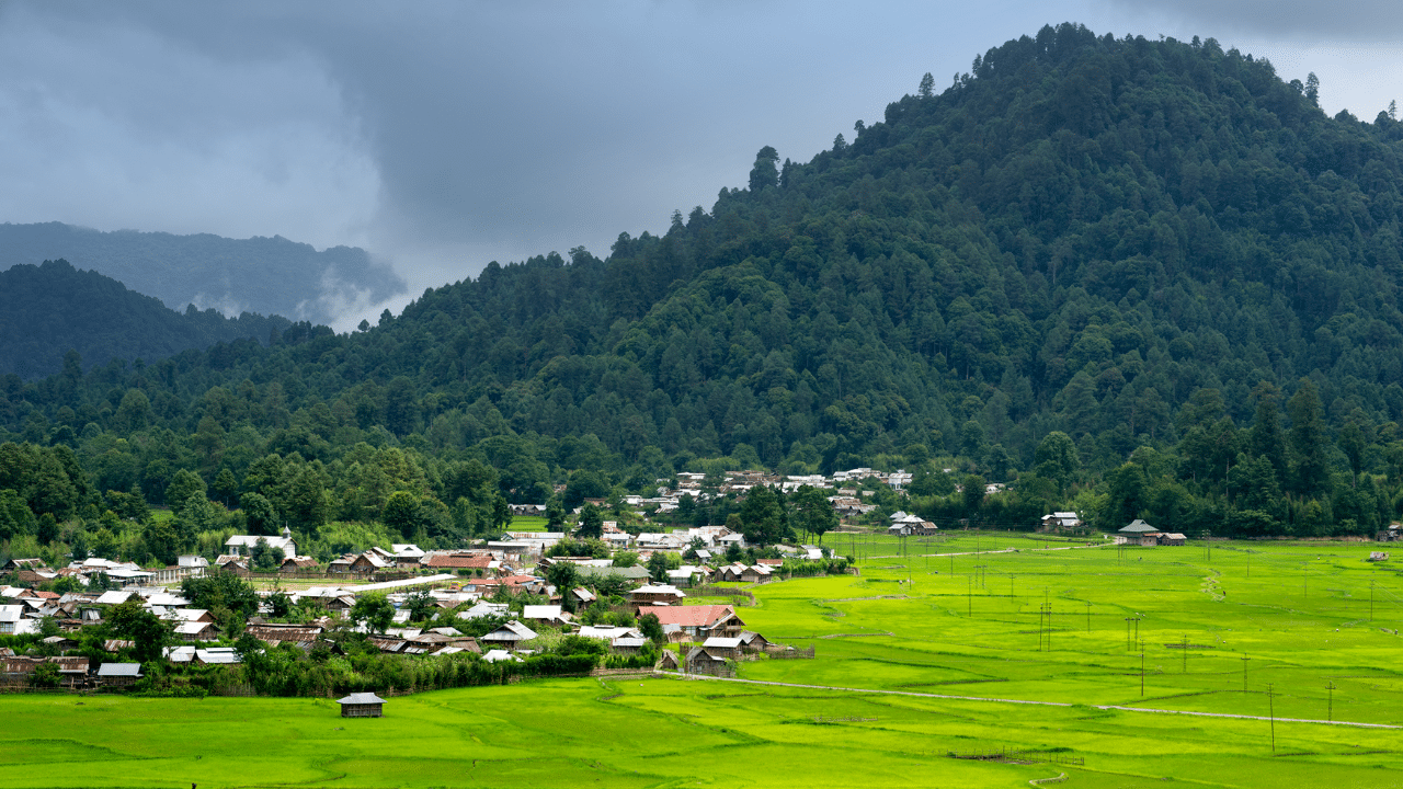 Ziro, Arunachal Pradesh