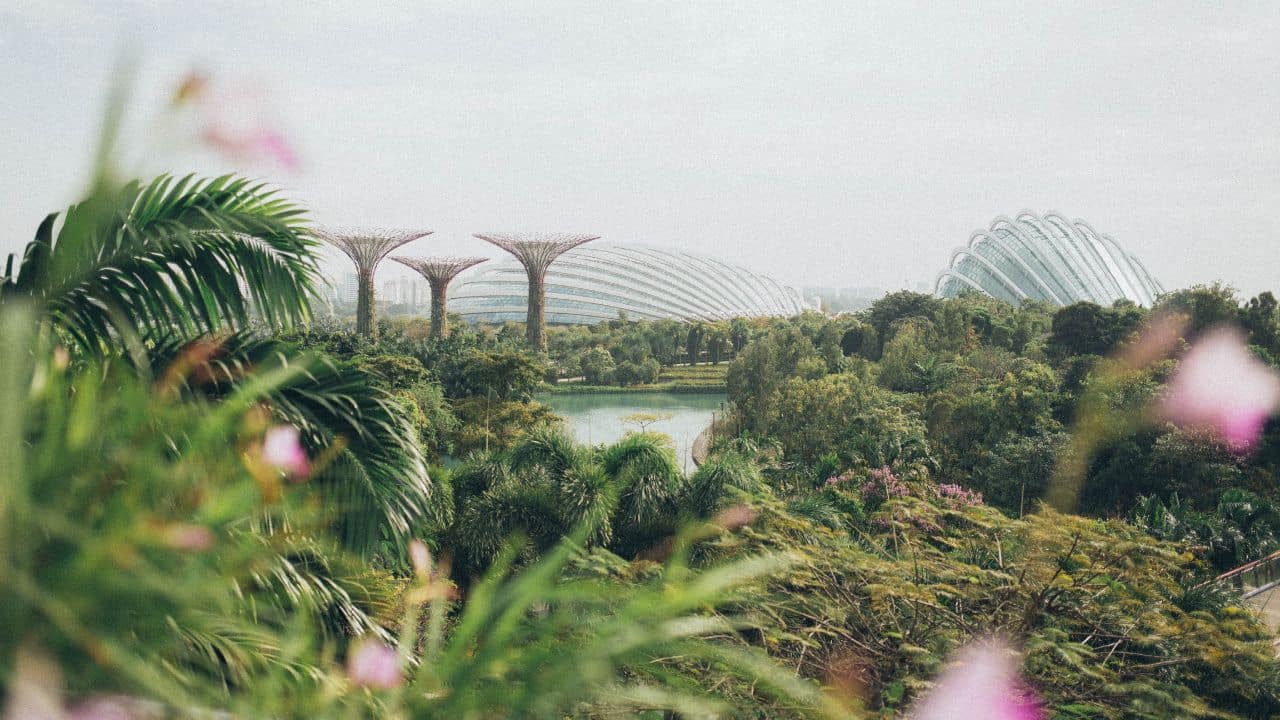Luxury Singapore Tour Packages