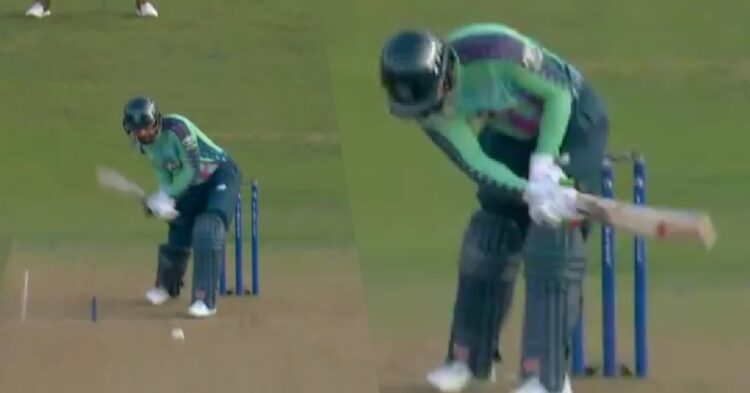 Rashid Khan’s Snake Shot In The Hundred Makes Internet Go Crazy, Video Goes Viral