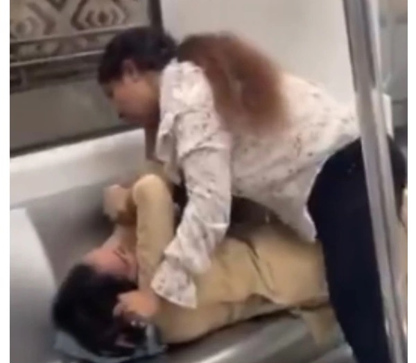 Delhi Metro Or WWE Ring? 2 Women Exchange Blows Leaving Internet Amused As Seats Are Empty - RVCJ Media