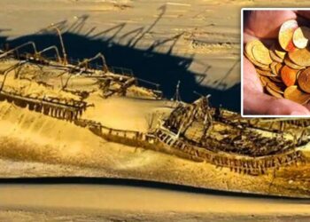 “He Should Be Hanged,” Father Demands De*th Penalty For Son Who Ki*led Mother Over Wi-Fi