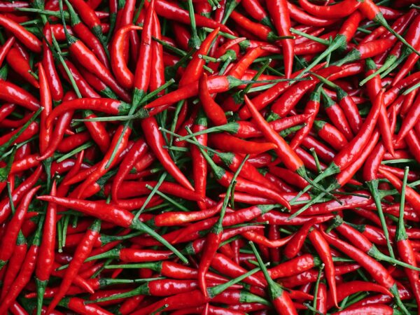 Meet The Meghalaya Farmer Who Can Eat 10 Kg Of Chillies Without Breaking A Sweat - RVCJ Media
