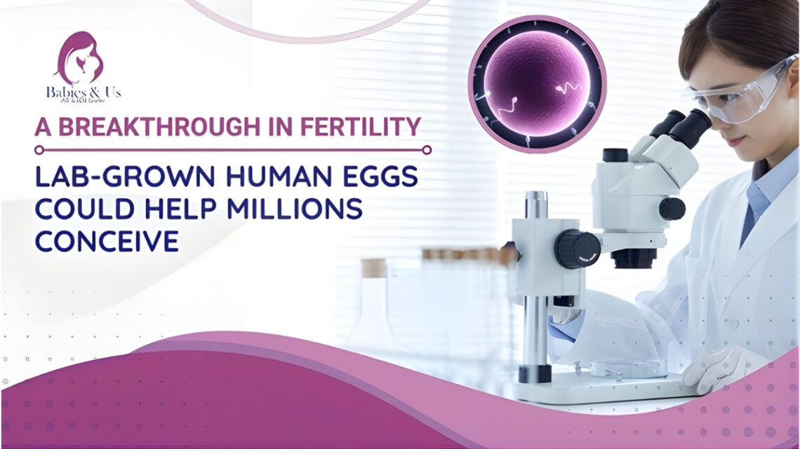 Lab-Grown Human Eggs: The Next Frontier in Fertility Science