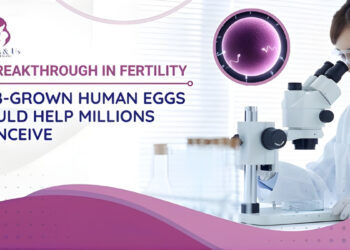 Lab-Grown Human Eggs: The Next Frontier in Fertility Science