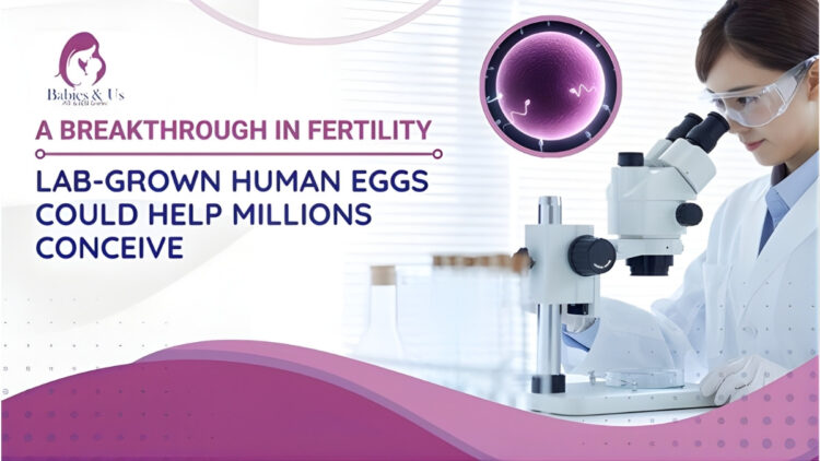 Lab-Grown Human Eggs: The Next Frontier In Fertility Science 1 Lab-Grown Human Eggs: The Next Frontier in Fertility Science
