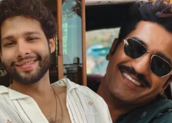 Move Over Khans And Kapoors, These 6 Stars Dominated Bollywood In 2025