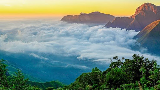 8 Must-Visit Attractions In Kerala For Every Traveller For A Perfect Trip 3 Munnar, Kerala