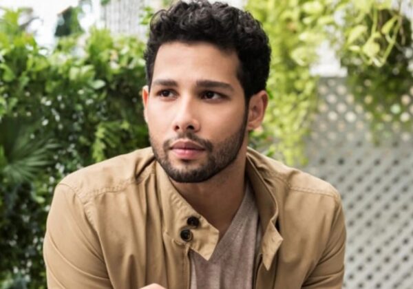 Move Over Khans And Kapoors, These 6 Stars Dominated Bollywood In 2025 - RVCJ Media