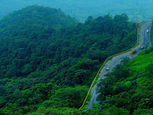 8 Must-Visit Attractions In Kerala For Every Traveller For A Perfect Trip 5 Wayanad, Kerala
