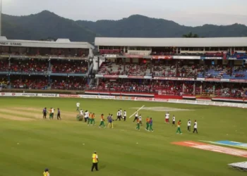 How Online Sports Culture Changed the Way Fans Follow Cricket